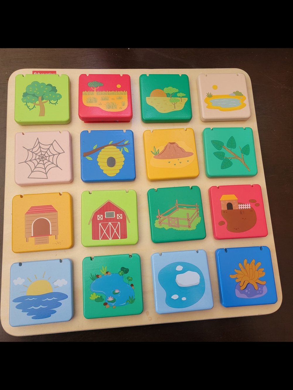 Fisher-Price Colorful Nature Match Tiles - Green, Blue, Yellow, Red, Pink